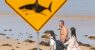 2026-01-20T055415Z_493526111_RC2S4JAWOL3K_RTRMADP_3_AUSTRALIA-SHARK-1778914036.jpg