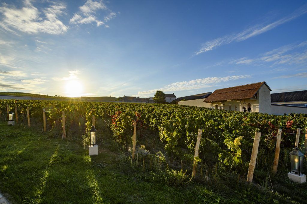 4.-Vignoble-Clos-Saint-Hilaire-c-Leif-Carlsson-1024x682.jpg