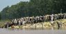 AFP__20250908__73RY787__v5__MidRes__TopshotIndiaClimateWeatherFlood-1757442095.jpg