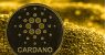 Cardano_800x533_L_1556444760.jpg