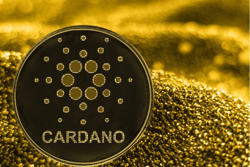 Cardano_800x533_L_1556444760.jpg