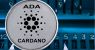 Cardano_800x533_L_1556444802.jpg