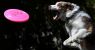 GettyImages-465603676.jpeg