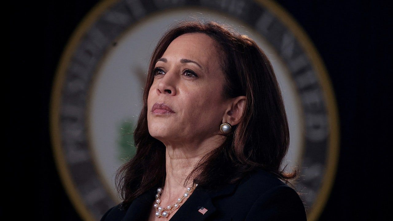 Joe-Biden-Kamala-Harris-2024-Election_09.jpg