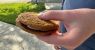 Little-Debbie-Oatmeal-Creme-Pie-in-hand.jpg
