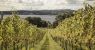 Lympstone-ManorIMG_1625-1024x682.jpg