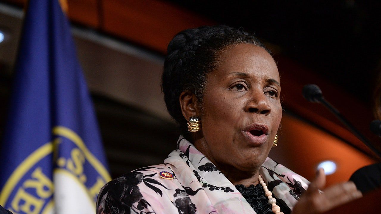 Rep.-Sheila-Jackson-Lee.jpg