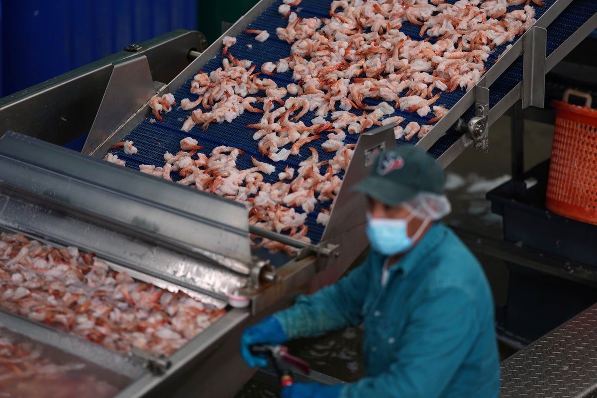 Trump_Tariffs_Shrimp_Industry_55937.jpg