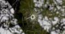 abc-10-bullet-holes-fox-news-001.png