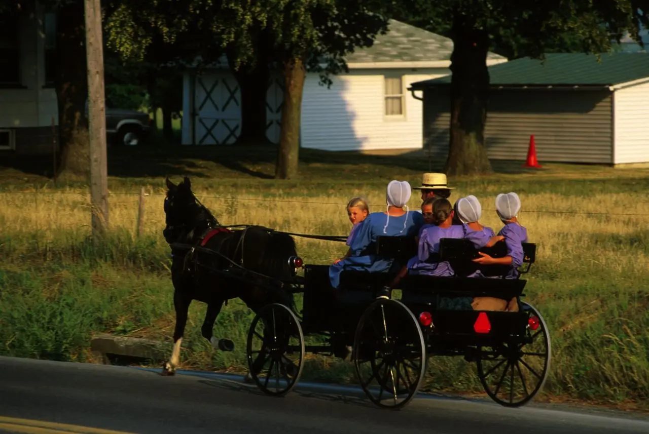 amish1.jpg