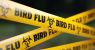 bird-flu-caution-tape.jpg