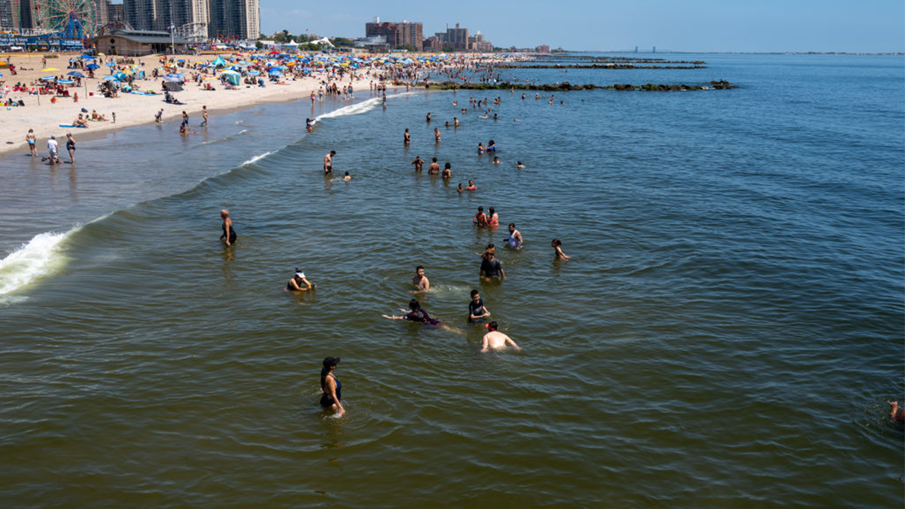 coney-island.png