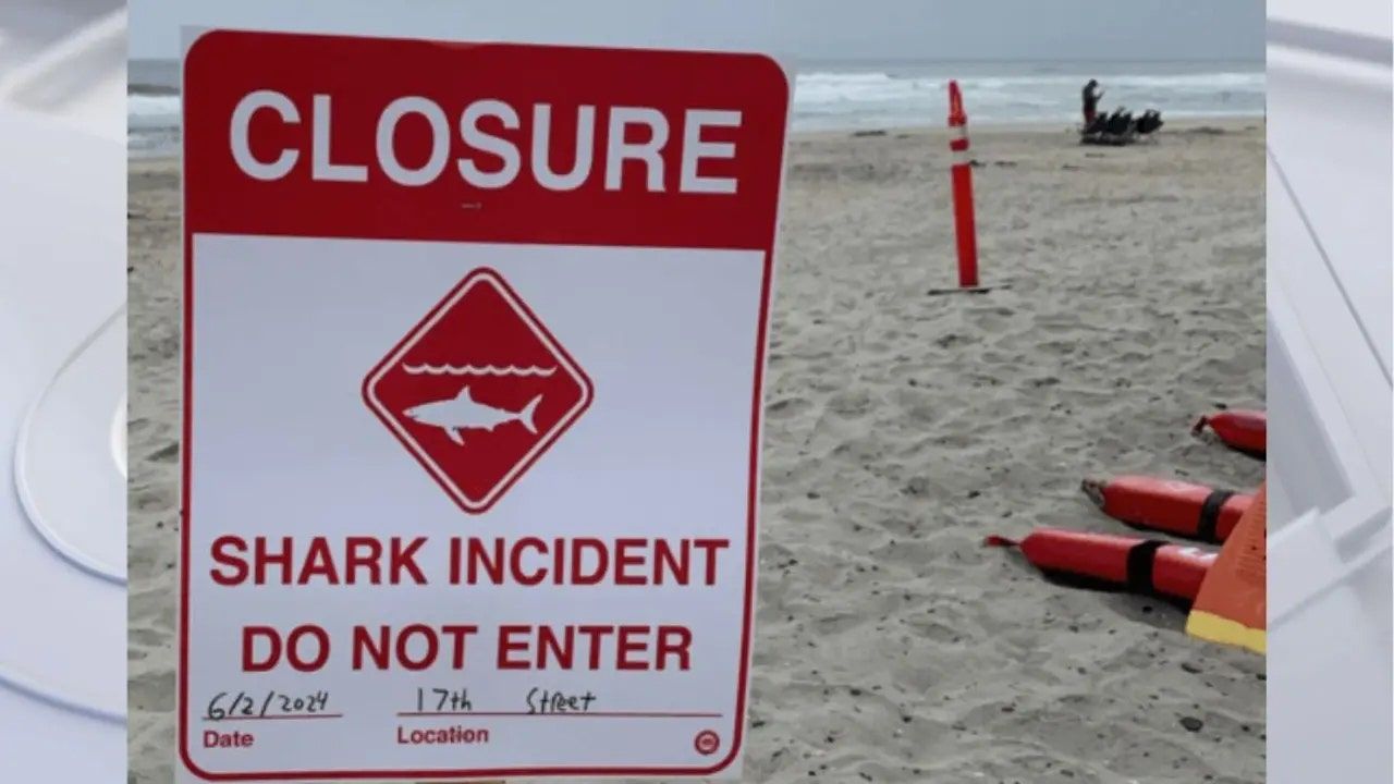 del-mar-shark-sign.jpg