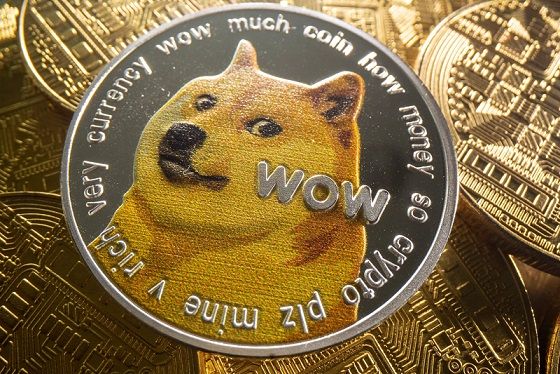 dogecoin_800x533_L_1637446667.jpg