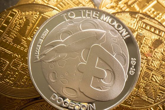 dogecoin_800x533_L_1637446826.jpg