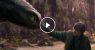 dragon-anatomy1-gkvb-facebookJumbo.jpg