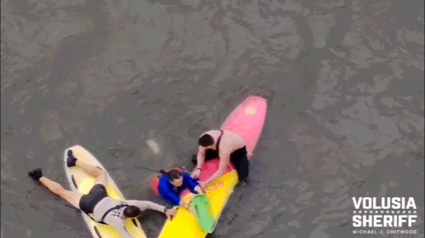 fl-paddleboard-gif.gif