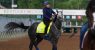 great-white-kentucky-derby.jpeg