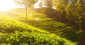 image-1600x900-2025-09-f71f4d786990ea818ef4ee9d7c1d6e6d-16x9.png