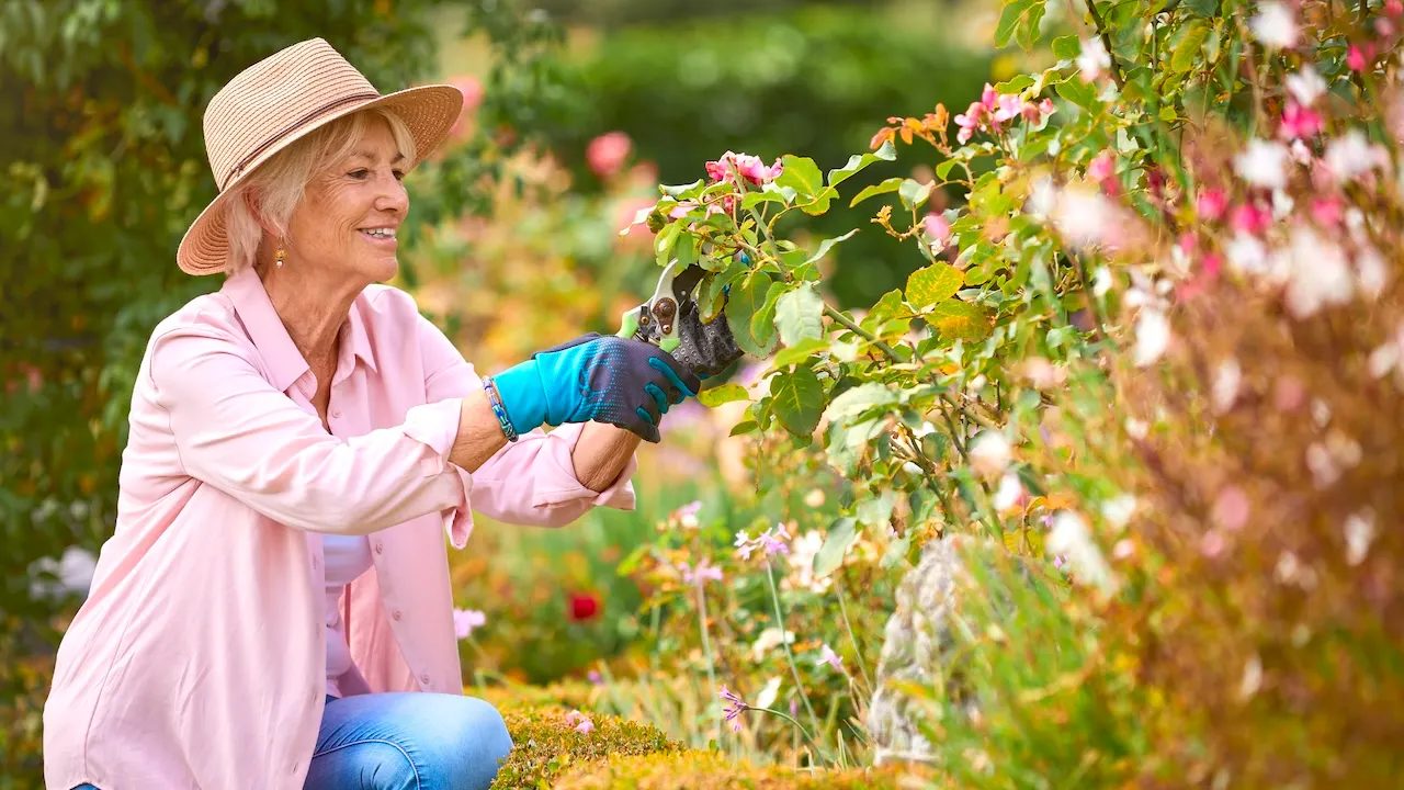 istock-woman-gardening-2152186846.jpg