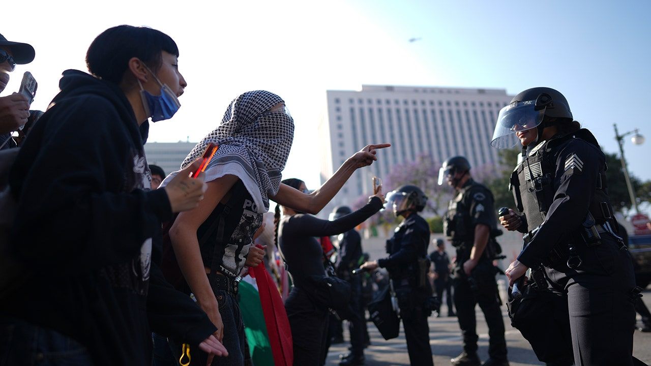 la-riot-palestine-flag.jpg