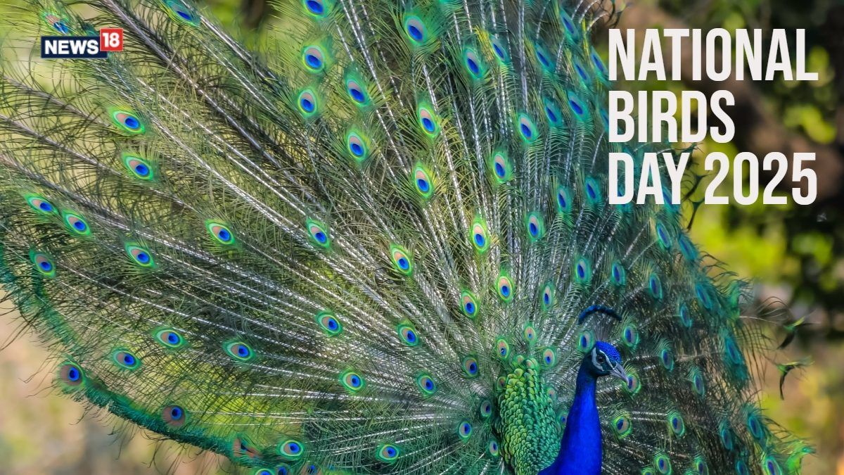 national-birds-day-2025-date-history-2025-01-4190c593829a93a7afb4d3e328aae393-16x9.jpg