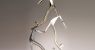 new-project-2025-08-05t150231-333_315988.jpg