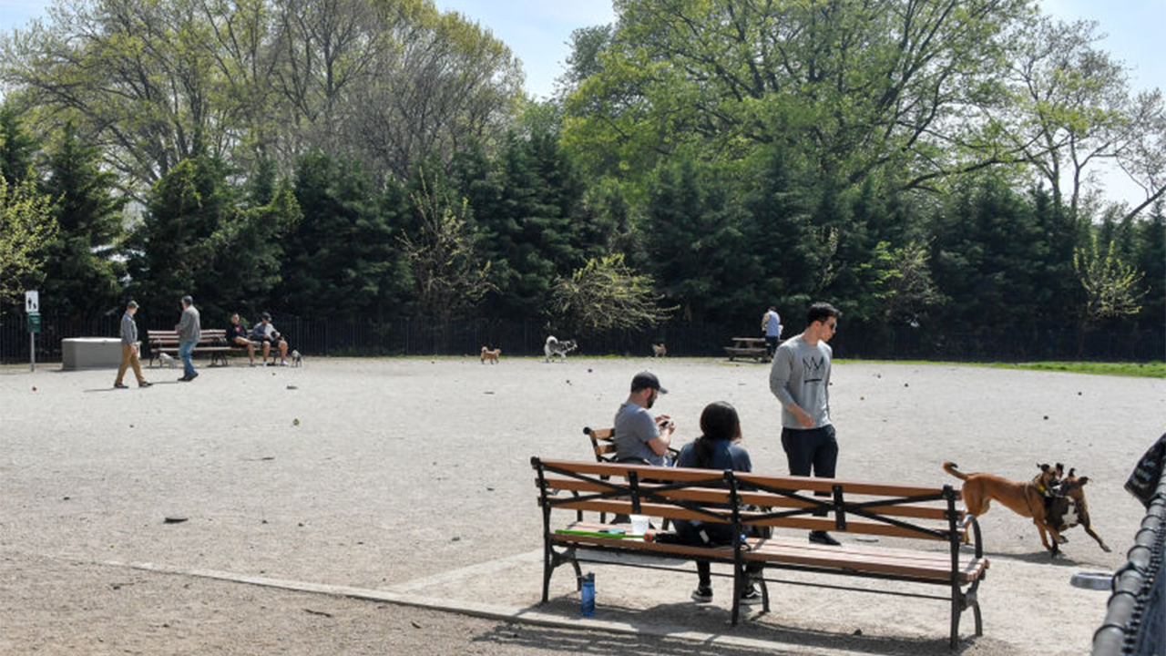 nyc-park.png