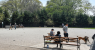 nyc-park.png