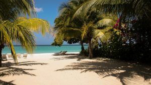 palm-trees-sandy-beach-jamaica_7f91a_thumb-e1755776605338-300x169.jpg