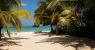 palm-trees-sandy-beach-jamaica_7f91a_thumb-e1755776605338-300x169.jpg