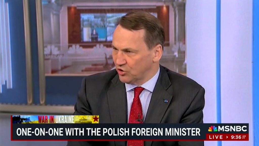 polish-minister-on-msnbc.png