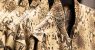 shirts_322088.jpg