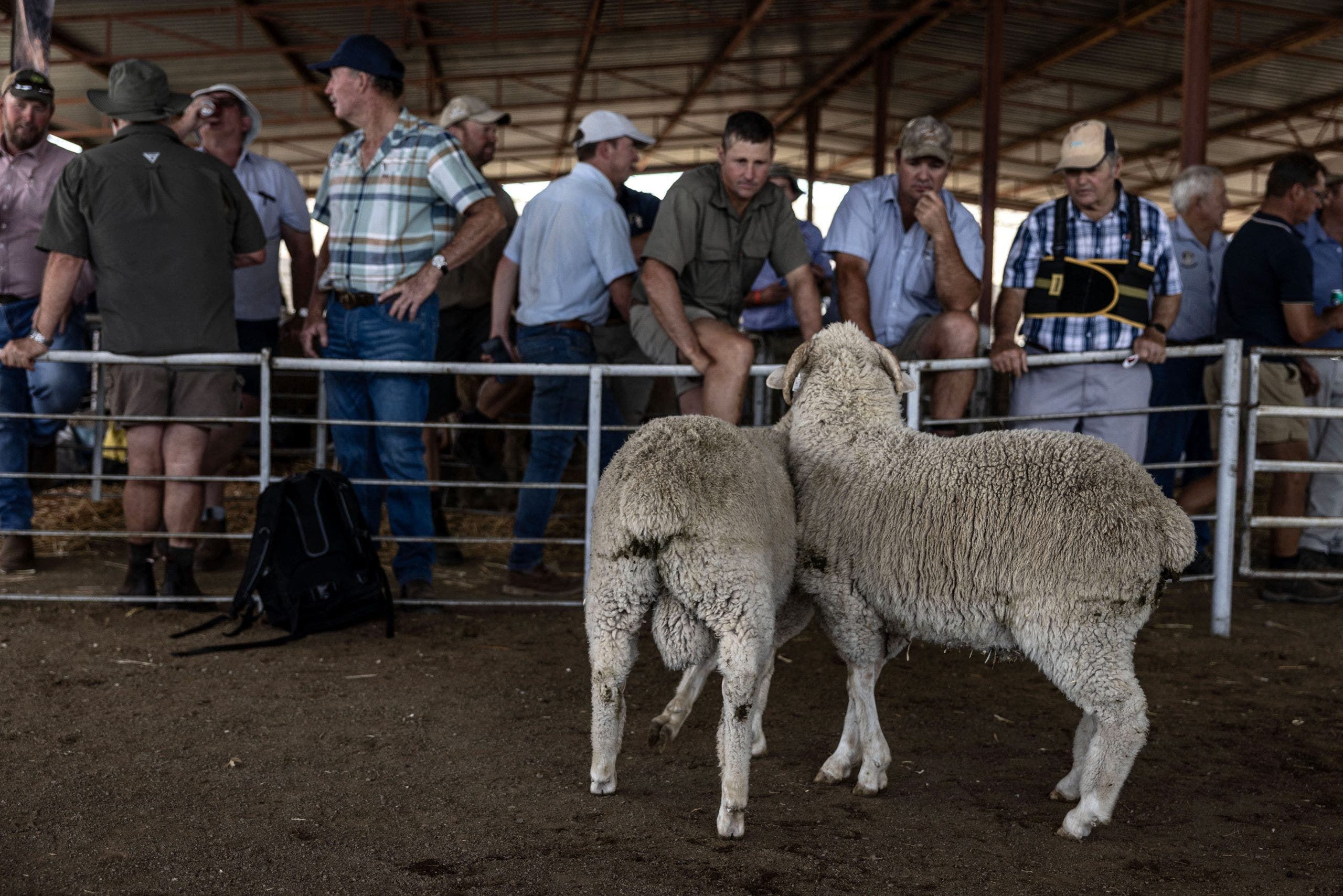 south-african-farmers.-getty-scaled.jpg