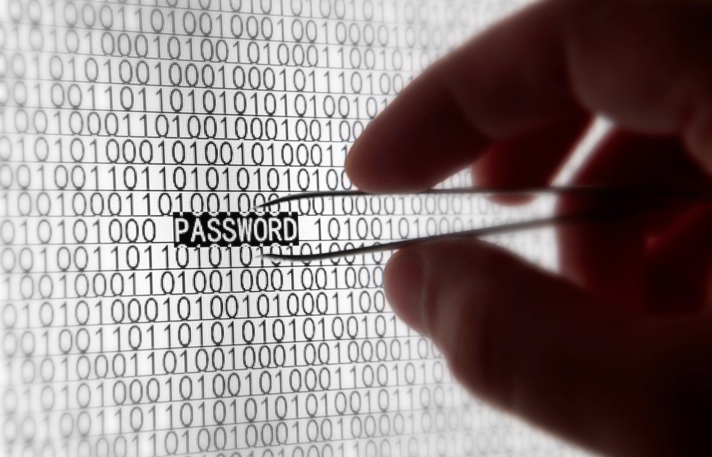 tr_20240709-worlds-largest-password-leak.jpg