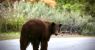 urlhttps3A2F2Fcalifornia-times-brightspot.s3.amazonaws.com2F192Fdb2F669e9f73425494adf31f0237.jpeg