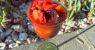 urlhttps3A2F2Fcalifornia-times-brightspot.s3.amazonaws.com2F362Ffa2Ff061d46b49468483881ee09a.jpeg