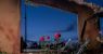 urlhttps3A2F2Fcalifornia-times-brightspot.s3.amazonaws.com2F3d2F002Ffe425783473fa944b91ef90f.jpeg