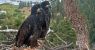 urlhttps3A2F2Fcalifornia-times-brightspot.s3.amazonaws.com2F432F652Fdc9d01344f628f3a4a7c1612.jpeg