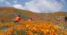 urlhttps3A2F2Fcalifornia-times-brightspot.s3.amazonaws.com2F542F962F7401a4f4406297e08bc40955.jpeg