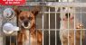 urlhttps3A2F2Fcalifornia-times-brightspot.s3.amazonaws.com2F602F9e2F8cdb56e84289b8191c193947.jpeg