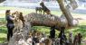 urlhttps3A2F2Fcalifornia-times-brightspot.s3.amazonaws.com2F692F4d2Feffa7ce848d694f16b613bc2.jpeg