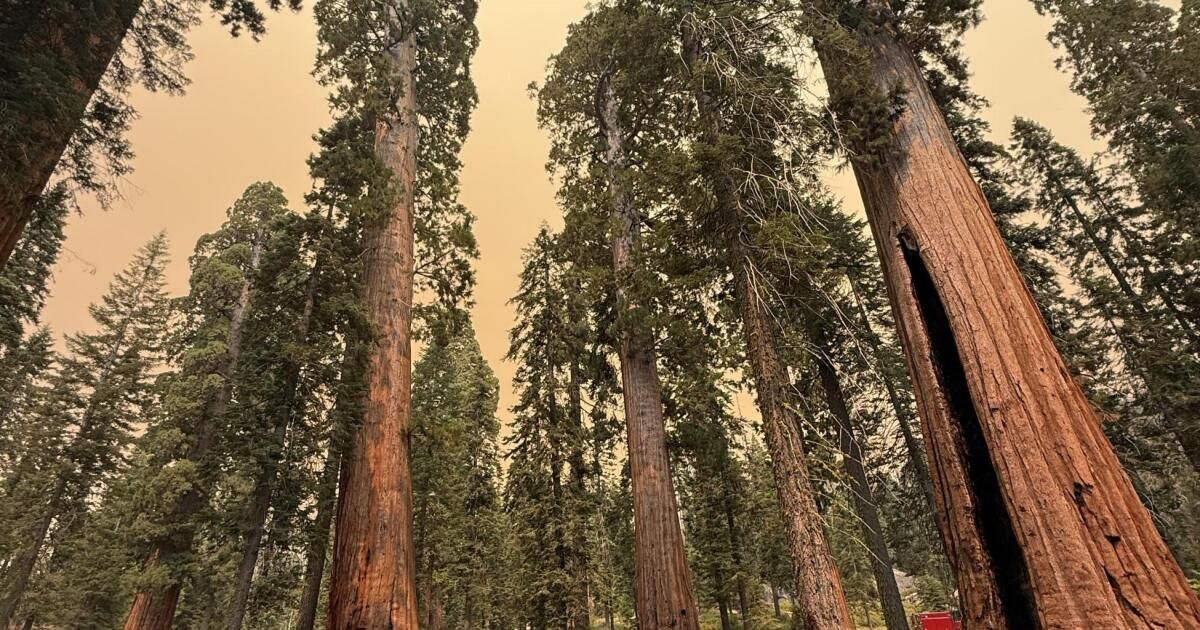 urlhttps3A2F2Fcalifornia-times-brightspot.s3.amazonaws.com2F852F432Fae3f734449779a826d97247b.jpeg