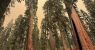 urlhttps3A2F2Fcalifornia-times-brightspot.s3.amazonaws.com2F852F432Fae3f734449779a826d97247b.jpeg