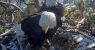 urlhttps3A2F2Fcalifornia-times-brightspot.s3.amazonaws.com2F912F212F4d8960054713affe717d8312.jpeg