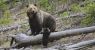urlhttps3A2F2Fcalifornia-times-brightspot.s3.amazonaws.com2Fac2Ff52F075429174d459f47afcedf41.jpeg