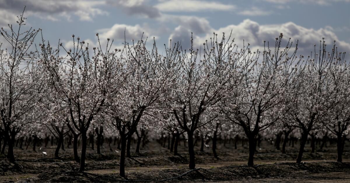 urlhttps3A2F2Fcalifornia-times-brightspot.s3.amazonaws.com2Fcd2F802F74804e1b41039ecc8801119b7aed2F1257858-me-dry-wells-fresno-county-gxc-1999.jpg