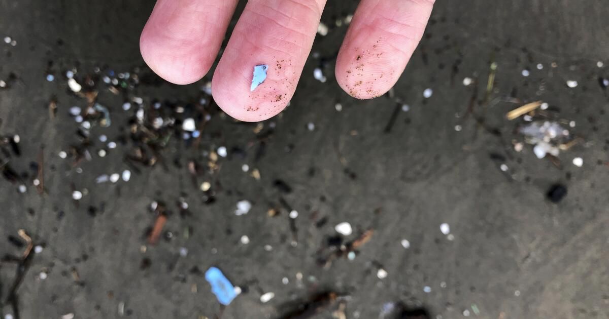 urlhttps3A2F2Fcalifornia-times-brightspot.s3.amazonaws.com2Fd02Fcf2F8e0bc12c496aa9ee583052dc707d2Fmicroplastics-risk-10517.jpg