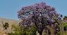 urlhttps3A2F2Fcalifornia-times-brightspot.s3.amazonaws.com2Fd92F062F58021f4b4affb7851f5dd4dd.jpeg