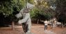 urlhttps3A2F2Fcalifornia-times-brightspot.s3.amazonaws.com2Fe72Fa32F762396bb4e35ada5b8d3947c.jpeg